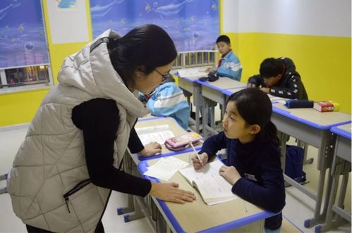 課后延時與校外托管 同源不同命的服務(wù)分野